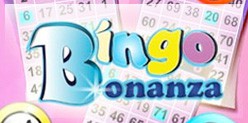 Bingo Bonanza