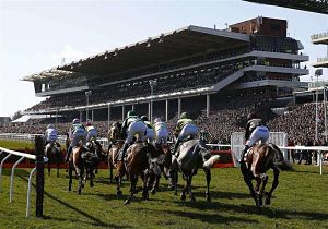 Punters beat bookies at 2016 Cheltenham