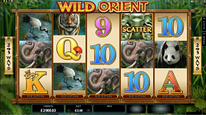 Wild Orient, SunTide launched by Microgaming