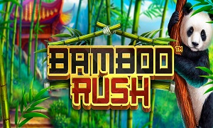 Bamboo Rush released as the first in the Red Dragon series of three Asian-themed slots to be launched by Betsoft by the end of the year.